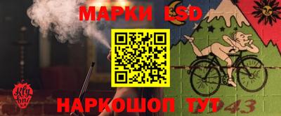 шишки Владимир