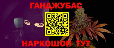 шишки Владимир