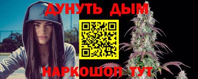 шишки Владимир