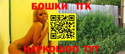 шишки Владимир