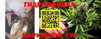 шишки Владимир