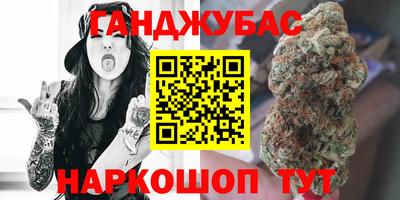 шишки Владимир