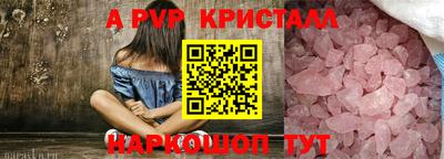 шишки Владимир