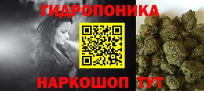 шишки Владимир