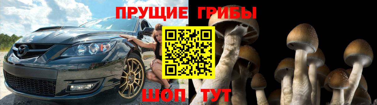 Галлюциногенные грибы GOLDEN TEACHER Владимир
