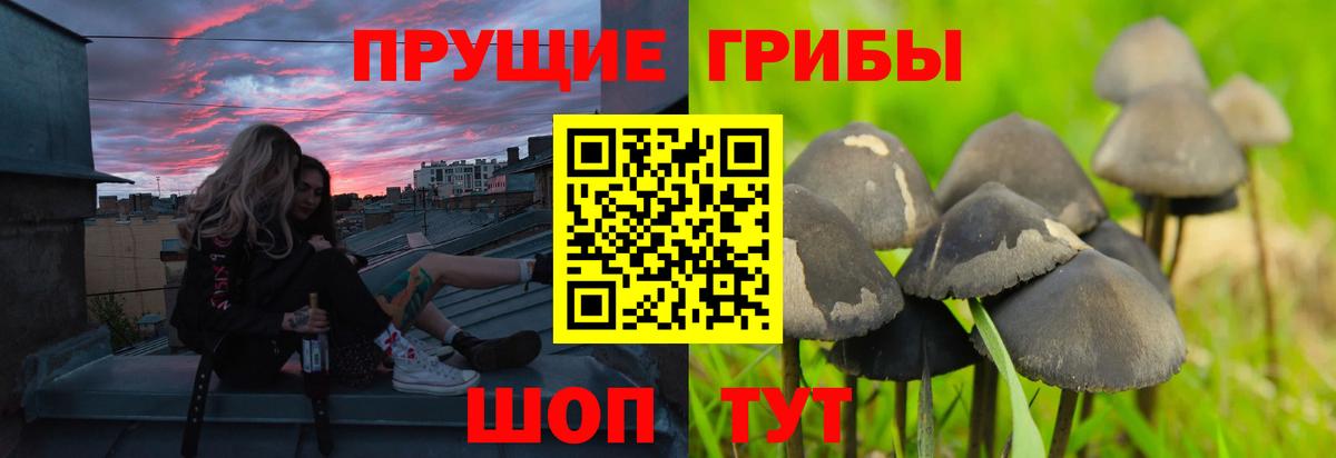 продажа наркотиков  Вход с VPN  Владимир  Галлюциногенные грибы Magic Shrooms 