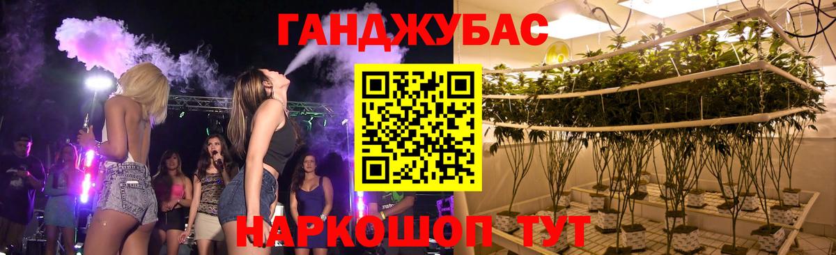 Каннабис гибрид Владимир